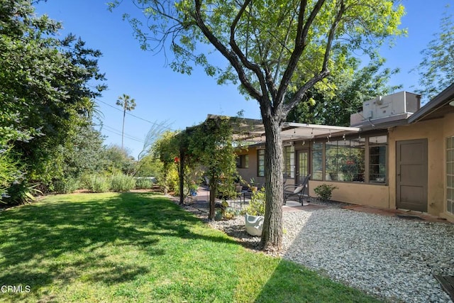view of yard featuring a patio area