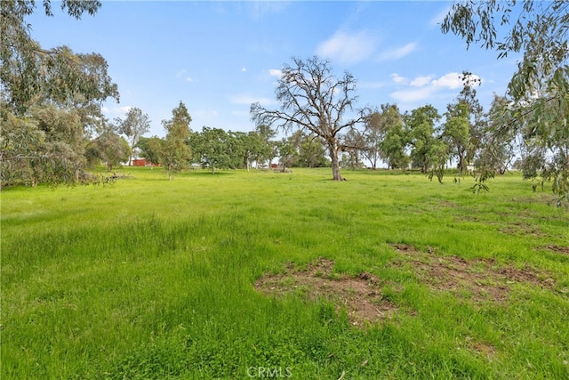 5736 La Porte Rd, Bangor, CA 95914 - view of yard with a rural view