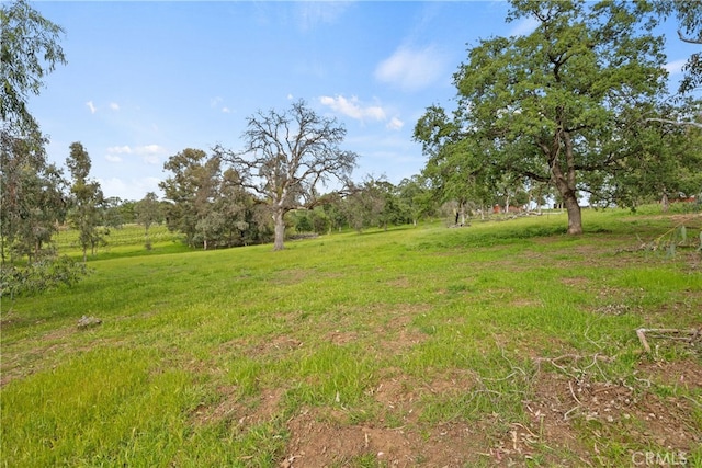 5736 La Porte Rd, Bangor, CA 95914 - view of yard with a rural view