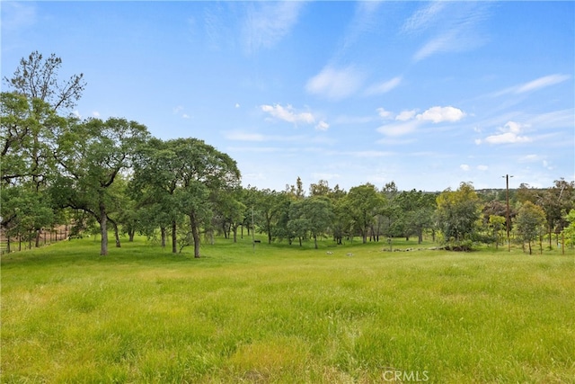 5736 La Porte Rd, Bangor, CA 95914 - view of nature