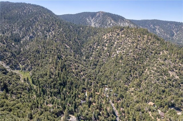 15308 Juniper Ct, Pine Mountain Club, CA 93222