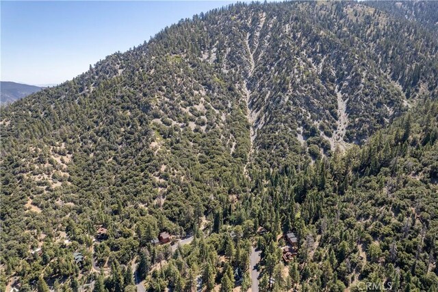 15308 Juniper Ct, Pine Mountain Club, CA 93222
