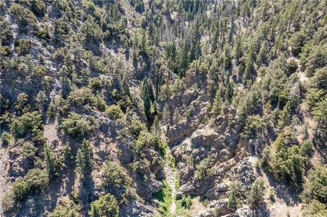 15308 Juniper Ct, Pine Mountain Club, CA 93222