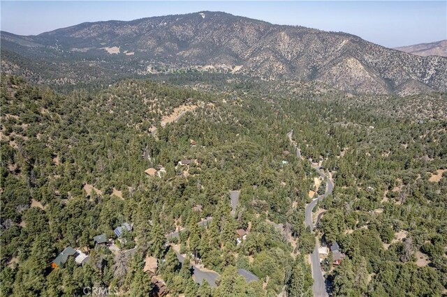 15308 Juniper Ct, Pine Mountain Club, CA 93222