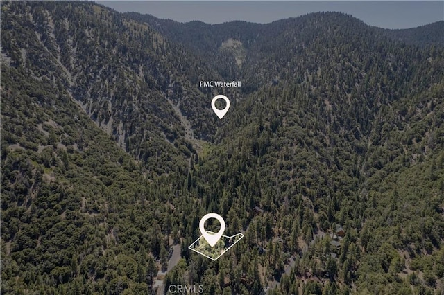 15308 Juniper Ct, Pine Mountain Club, CA 93222