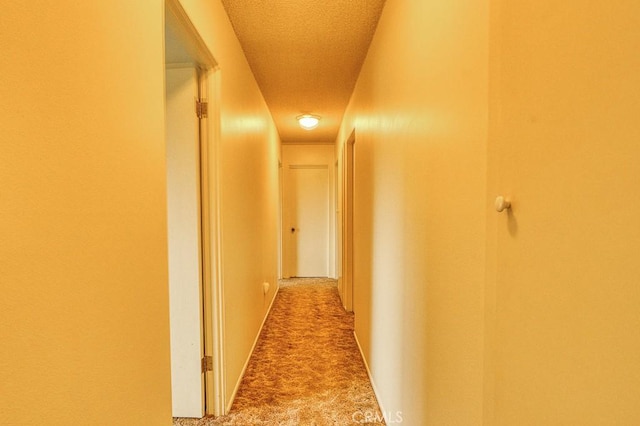 corridor featuring carpet flooring
