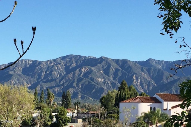 mountain view