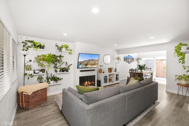 living room with baseboards, a fireplace, and wood finished floors
