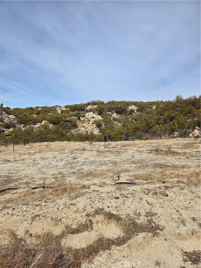 61400 Indian Paint Brush Rd, Anza, CA 92539 - photo 9