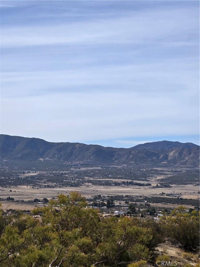 61400 Indian Paint Brush Rd, Anza, CA 92539 - photo 1