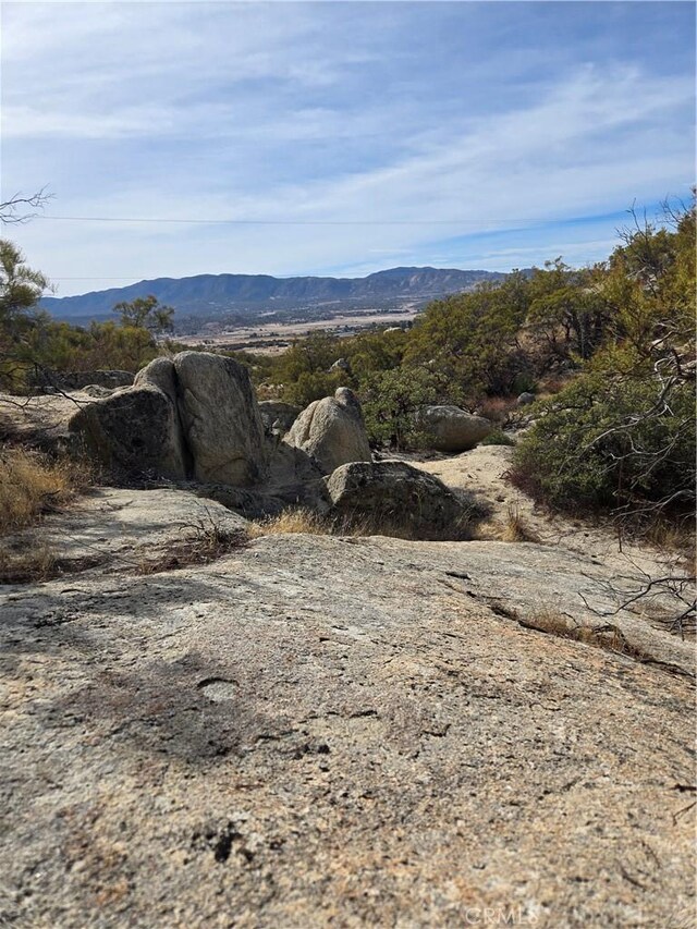 61400 Indian Paint Brush Rd, Anza, CA 92539 - photo 8