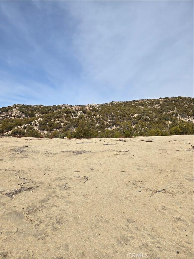 61400 Indian Paint Brush Rd, Anza, CA 92539 - photo 2