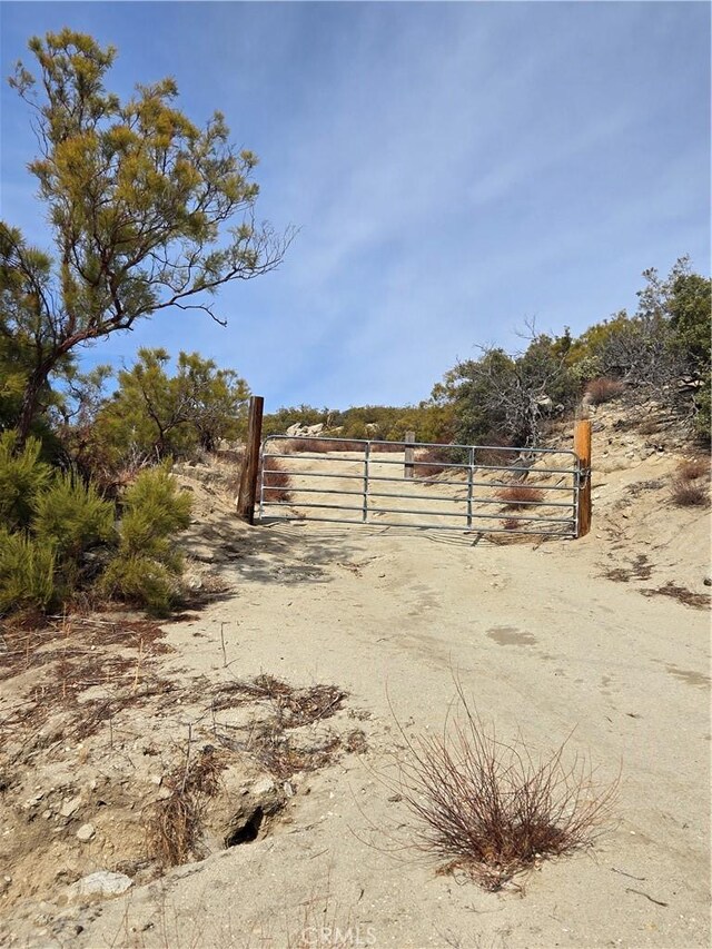 61400 Indian Paint Brush Rd, Anza, CA 92539 - photo 3