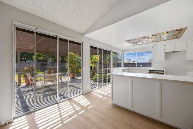 interior space with light countertops, a sink, light wood finished floors, lofted ceiling, and white cabinetry
