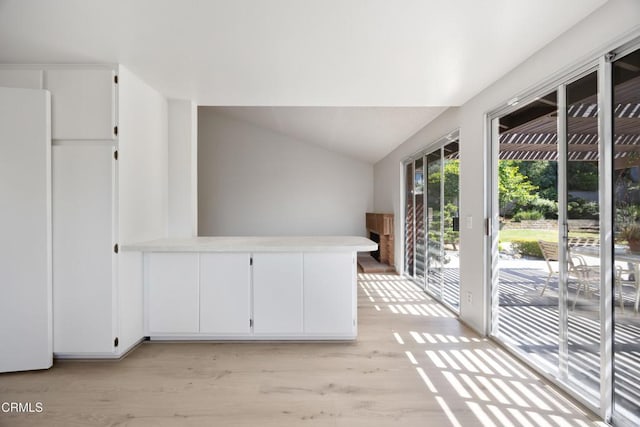 unfurnished room with light wood-style flooring and lofted ceiling