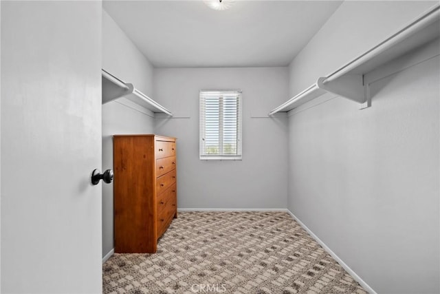 2450 Cameron Ave, Covina, CA 91724 - walk in closet featuring carpet flooring