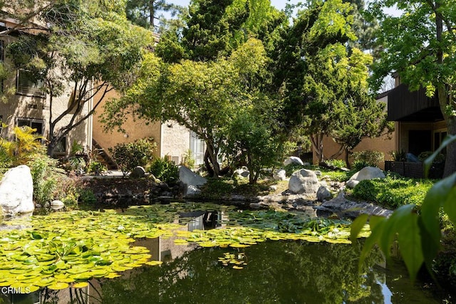 view of yard with a small pond