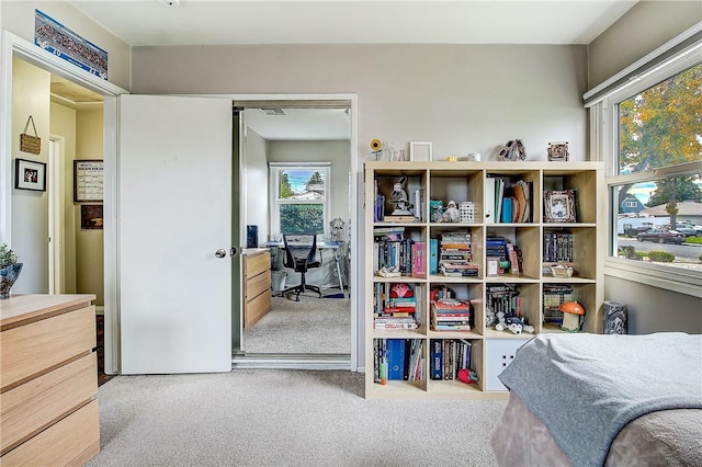 3871 San Mateo Ave, Riverside, CA 92504 - bedroom with carpet floors