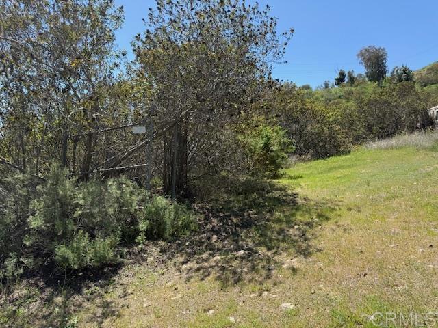 121 Avo Dr, Fallbrook, CA 92028