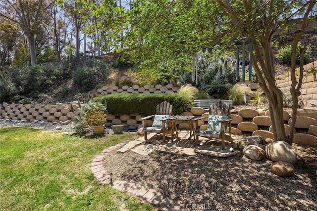 view of yard featuring a patio area