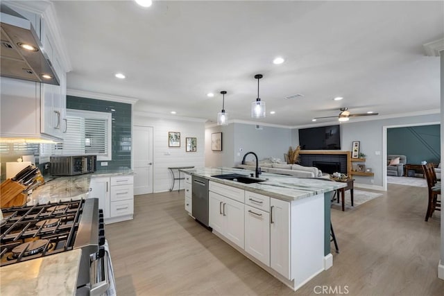 kitchen featuring a sink, light wood-style flooring, ornamental molding, and stainless steel appliances