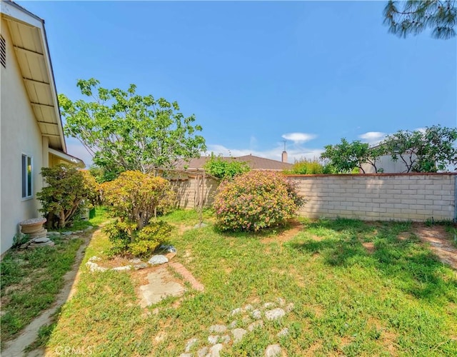 view of yard with a fenced backyard