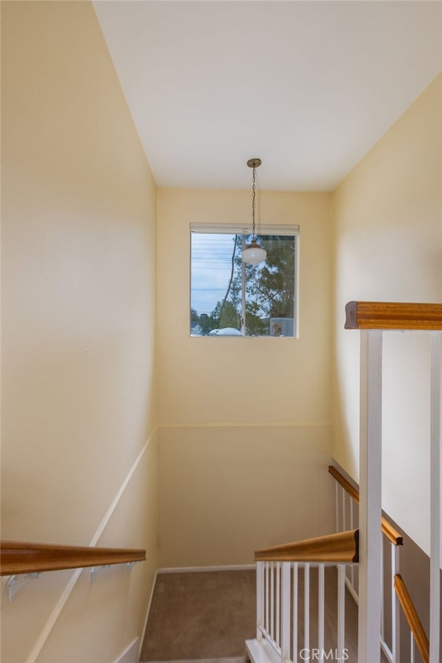stairs with baseboards and carpet