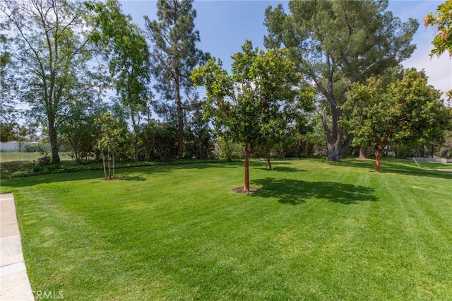 view of yard