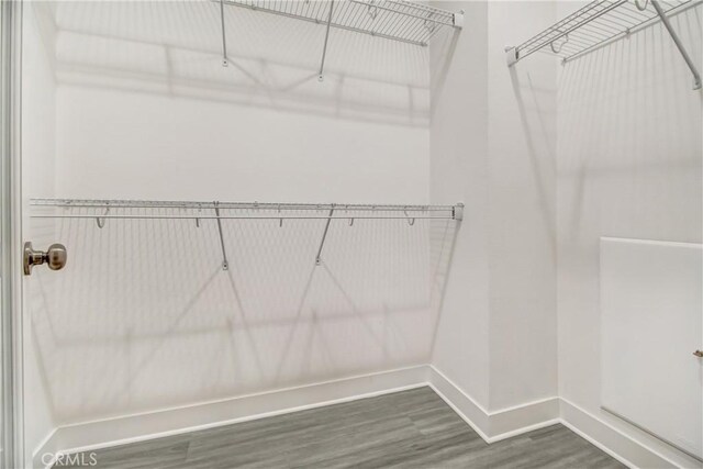 spacious closet with dark wood finished floors