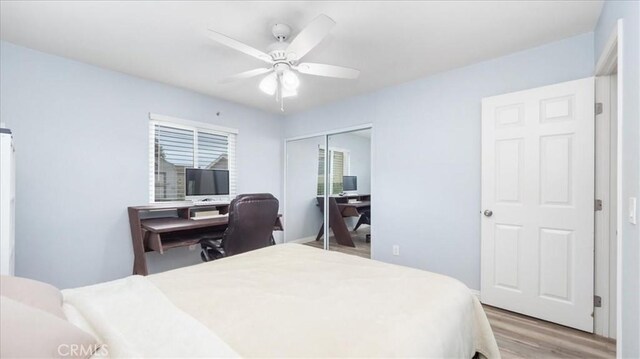 bedroom featuring light wood-style floors, ceiling fan, and a closet