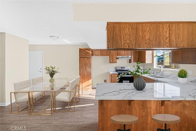 kitchen with brown cabinetry, a sink, stainless steel stove, and wood finished floors