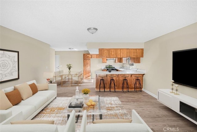 living room with light wood-type flooring, a textured ceiling, and baseboards