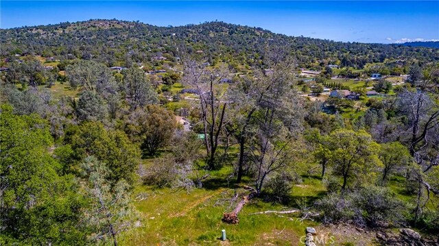 1 Jim Bowie Ct, Coarsegold, CA 93614 - photo 5