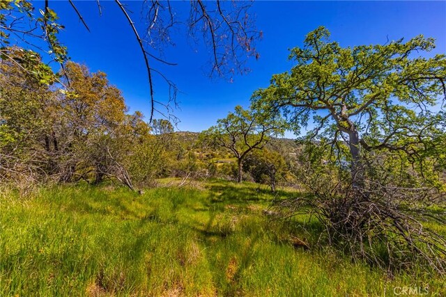 1 Jim Bowie Ct, Coarsegold, CA 93614 - photo 4