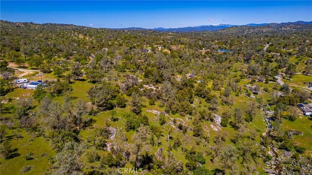 1 Jim Bowie Ct, Coarsegold, CA 93614 - photo 8