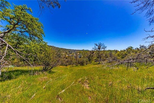 1 Jim Bowie Ct, Coarsegold, CA 93614 - photo 2