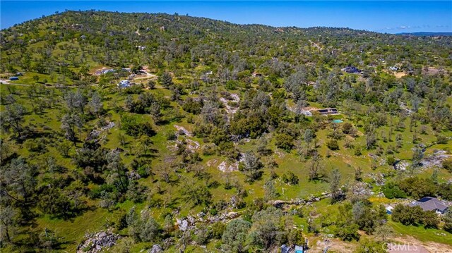 1 Jim Bowie Ct, Coarsegold, CA 93614 - photo 9