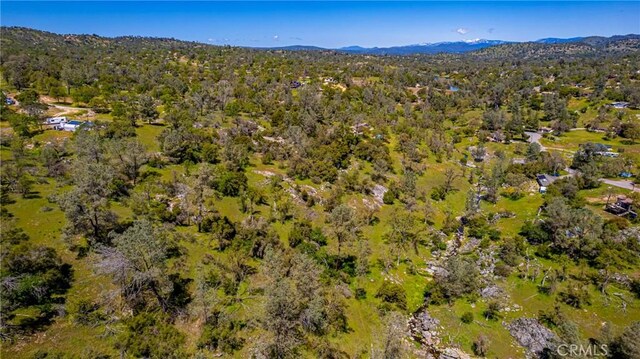 1 Jim Bowie Ct, Coarsegold, CA 93614 - photo 6