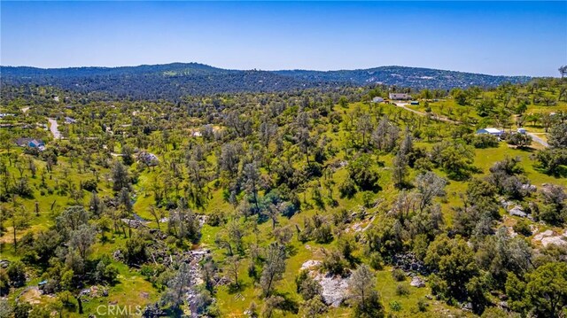 1 Jim Bowie Ct, Coarsegold, CA 93614 - photo 7