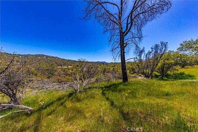 1 Jim Bowie Ct, Coarsegold, CA 93614 - photo 1