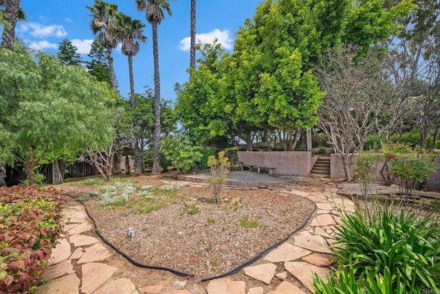 1994 Warmlands Ave, Vista, CA 92084 - view of yard