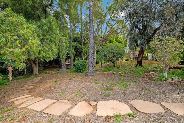 1994 Warmlands Ave, Vista, CA 92084 - view of yard featuring view of wooded area