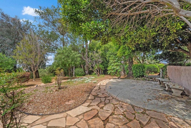 1994 Warmlands Ave, Vista, CA 92084 - view of yard featuring a patio