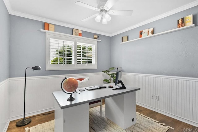 office area featuring crown molding, ceiling fan, wood finished floors, and a wainscoted wall
