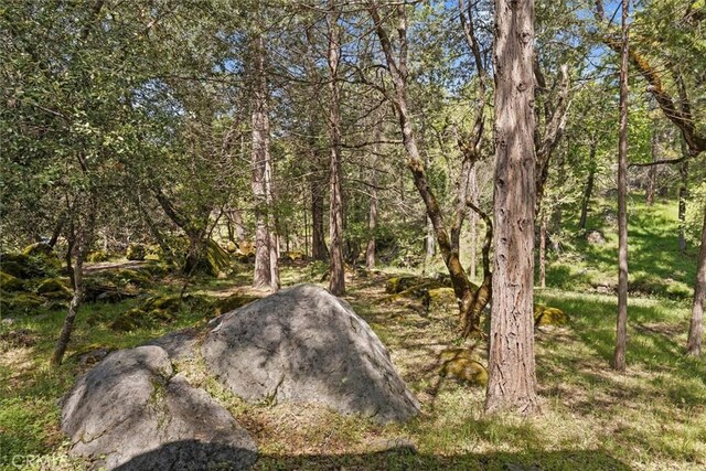 36556 Mudge Ranch Rd, Coarsegold, CA 93614 - view of nature