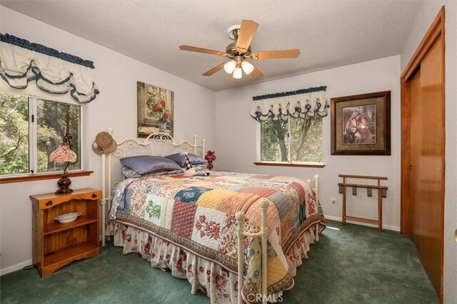 36556 Mudge Ranch Rd, Coarsegold, CA 93614 - bedroom featuring baseboards, carpet, and a closet