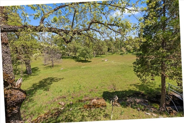 36556 Mudge Ranch Rd, Coarsegold, CA 93614 - view of yard