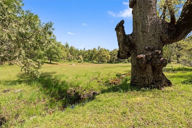 36556 Mudge Ranch Rd, Coarsegold, CA 93614 - view of local wilderness