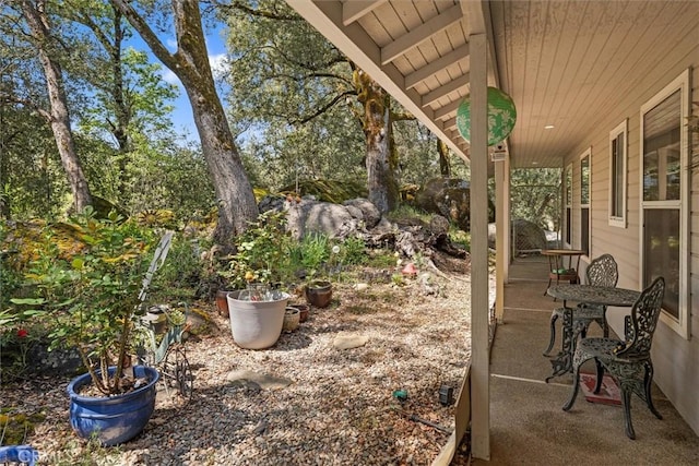 36556 Mudge Ranch Rd, Coarsegold, CA 93614 - view of yard featuring covered porch
