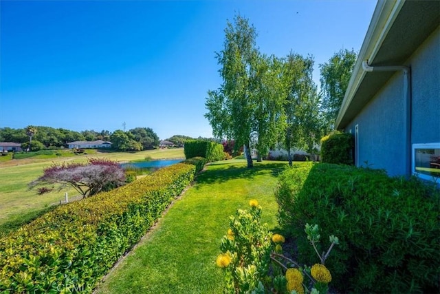view of yard with a water view